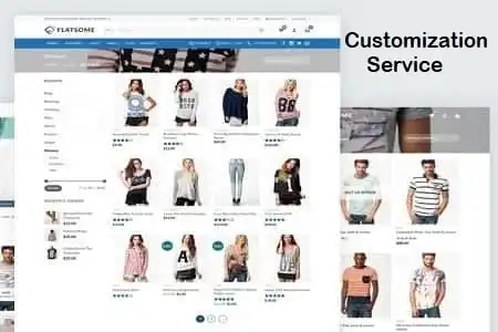 Customization Service - Flatsome Theme Customization Service - GPL Ji