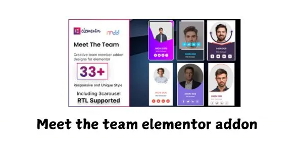 Meet the team elementor addon GPL v2.8 - GPL Ji